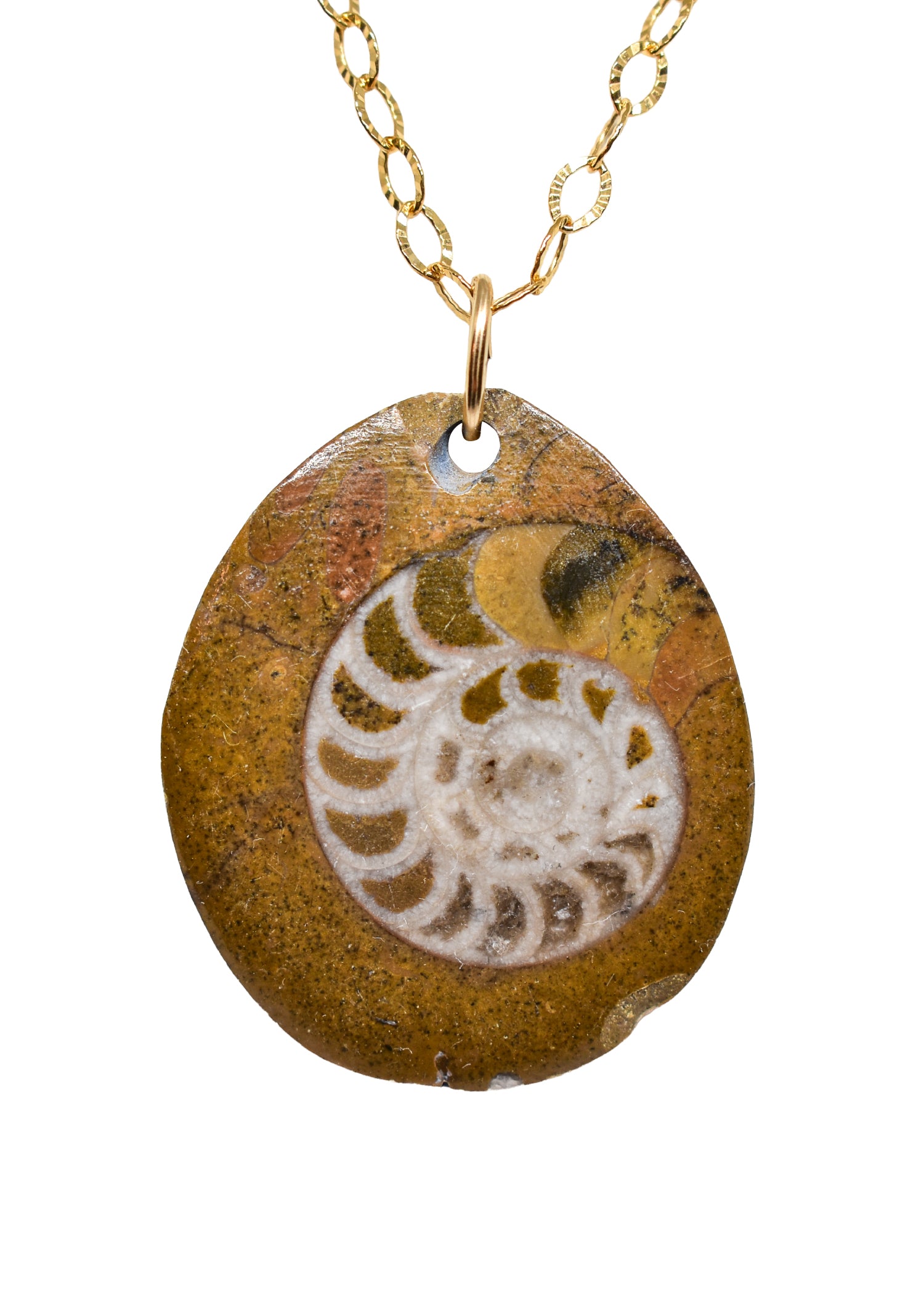 Ammonite Necklace