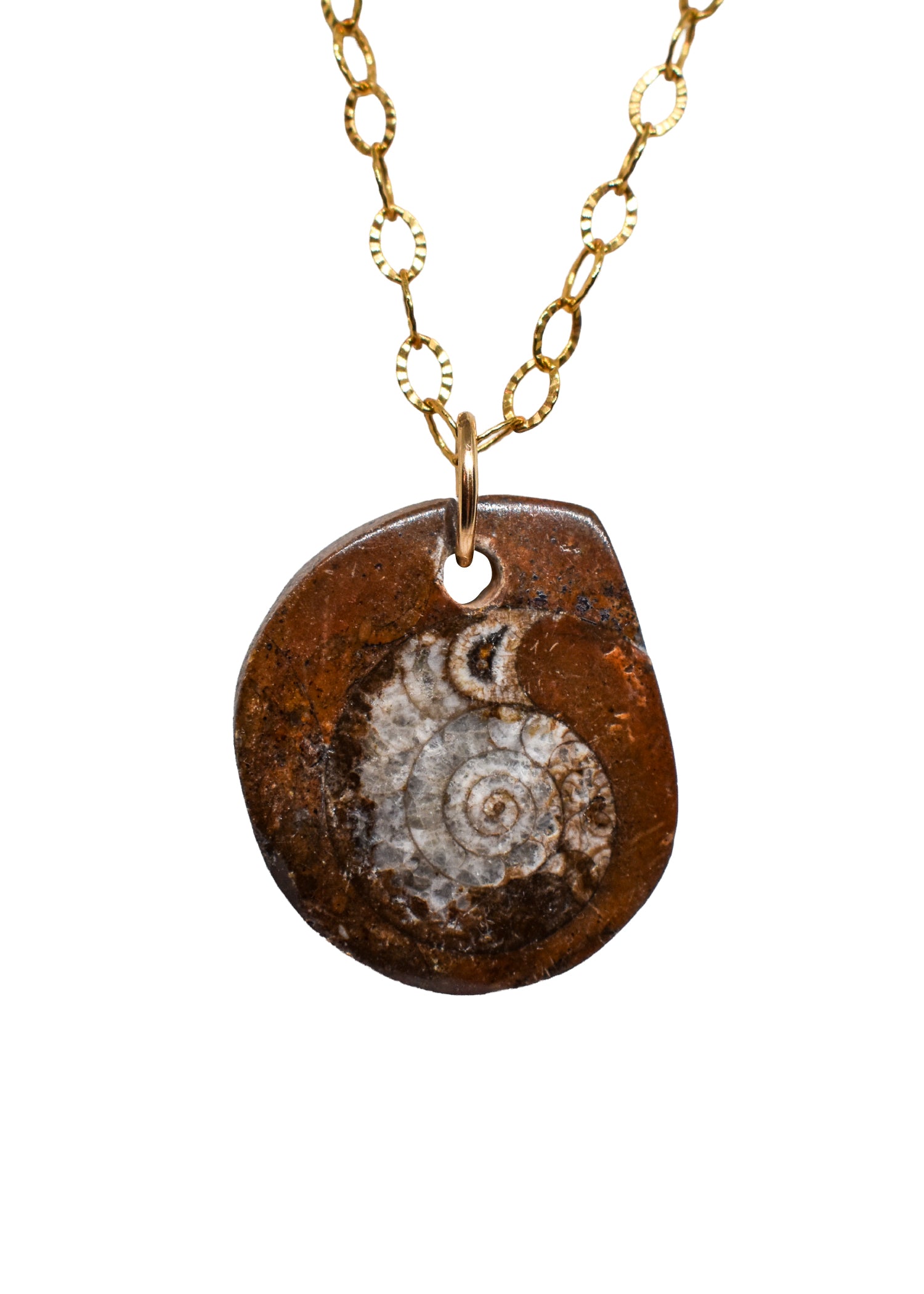 Ammonite Necklace