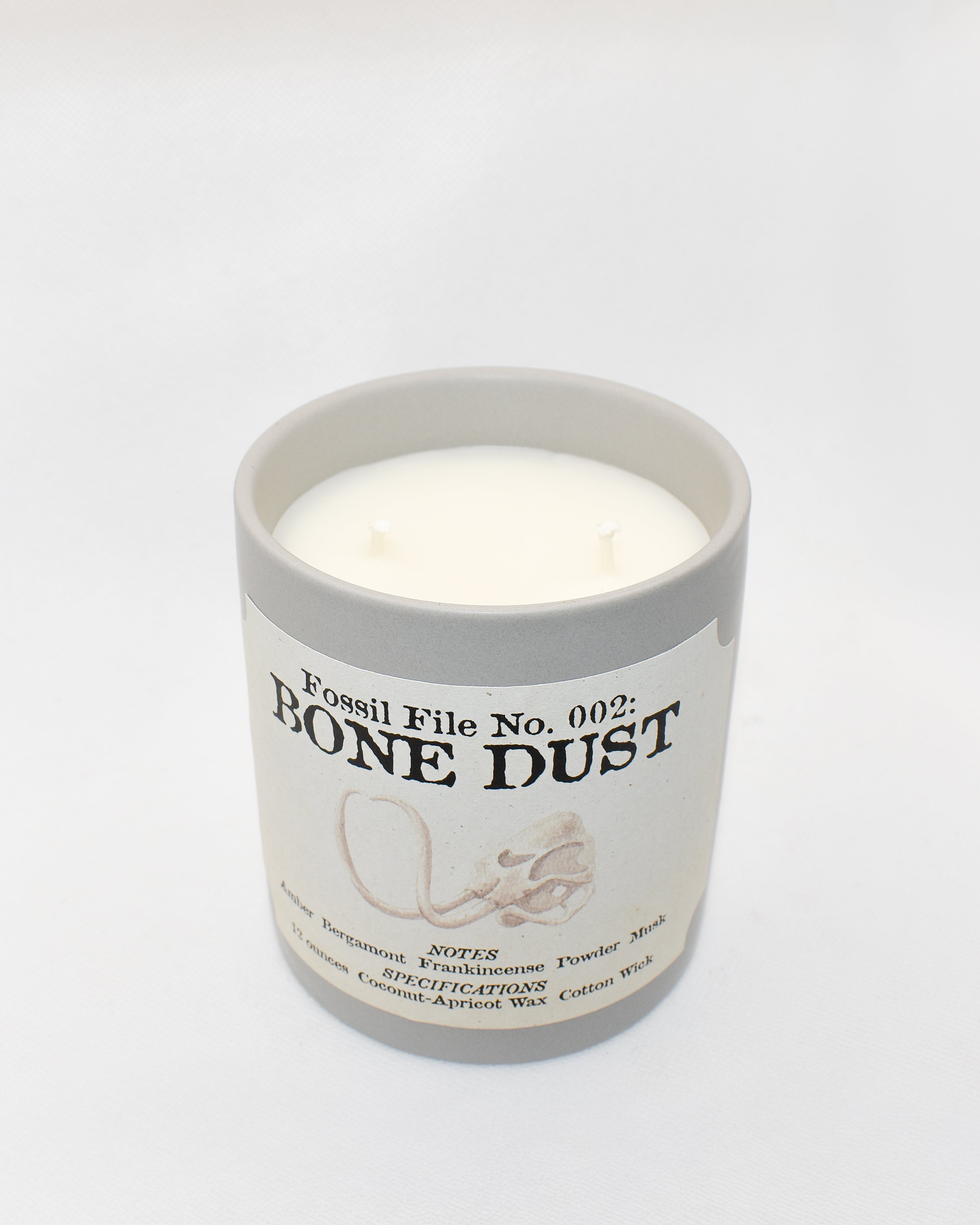 Fossil Files Candle Set