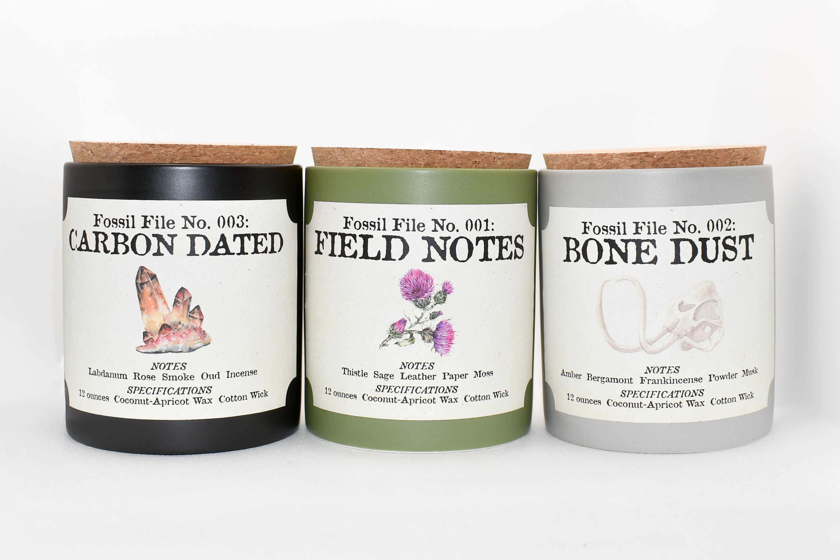 Fossil Files Candle Set