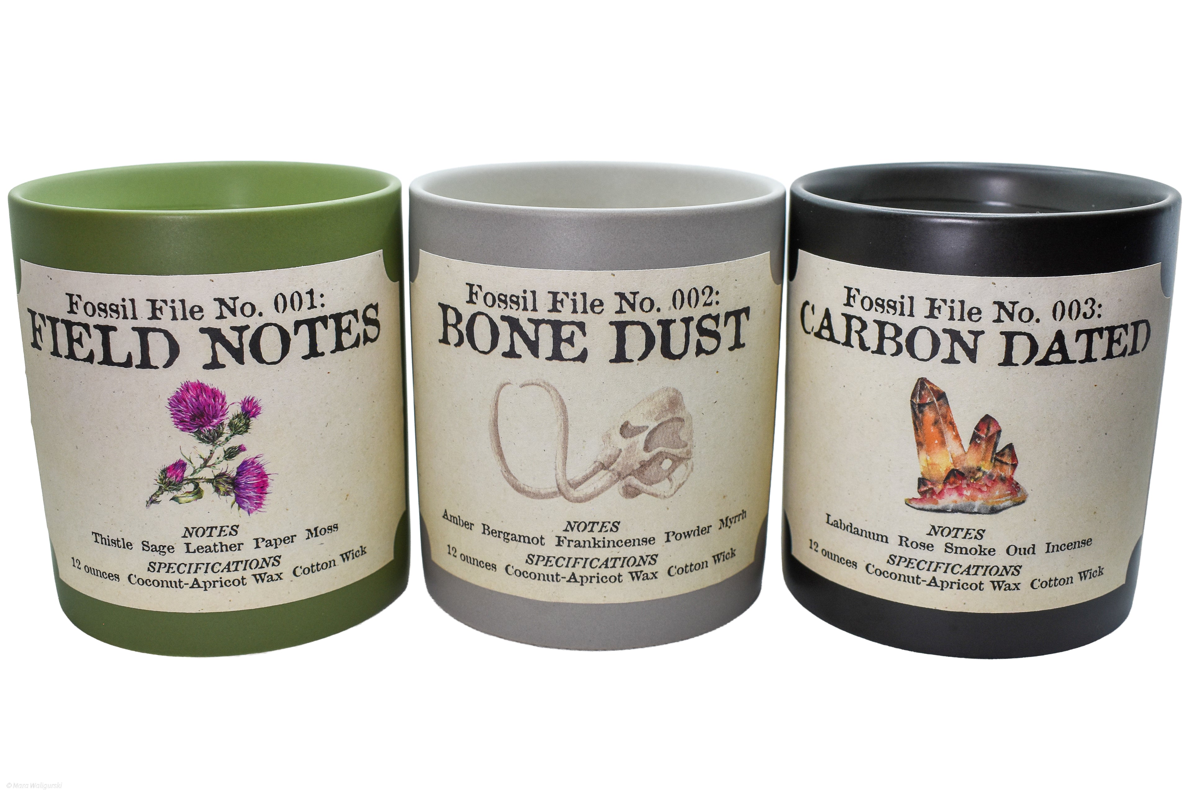 Fossil Files Candle Set
