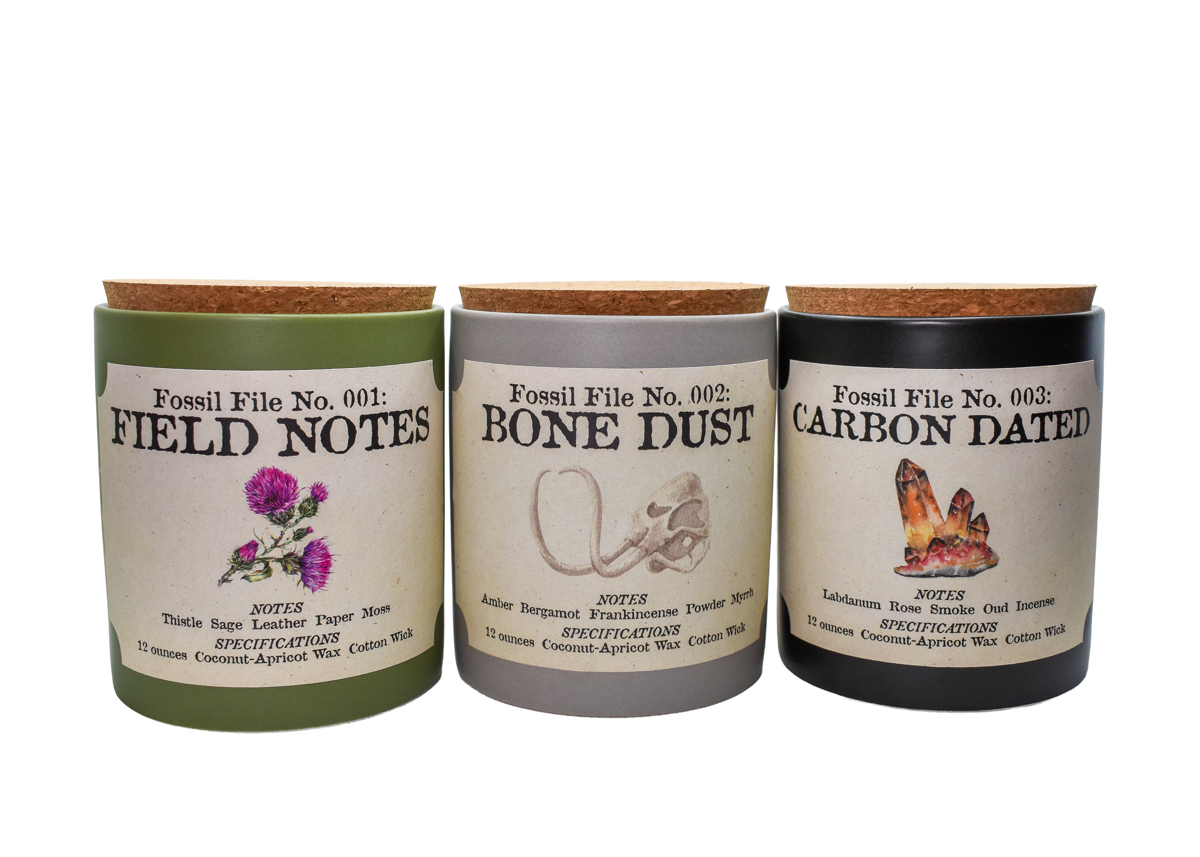 Fossil Files Candle Set