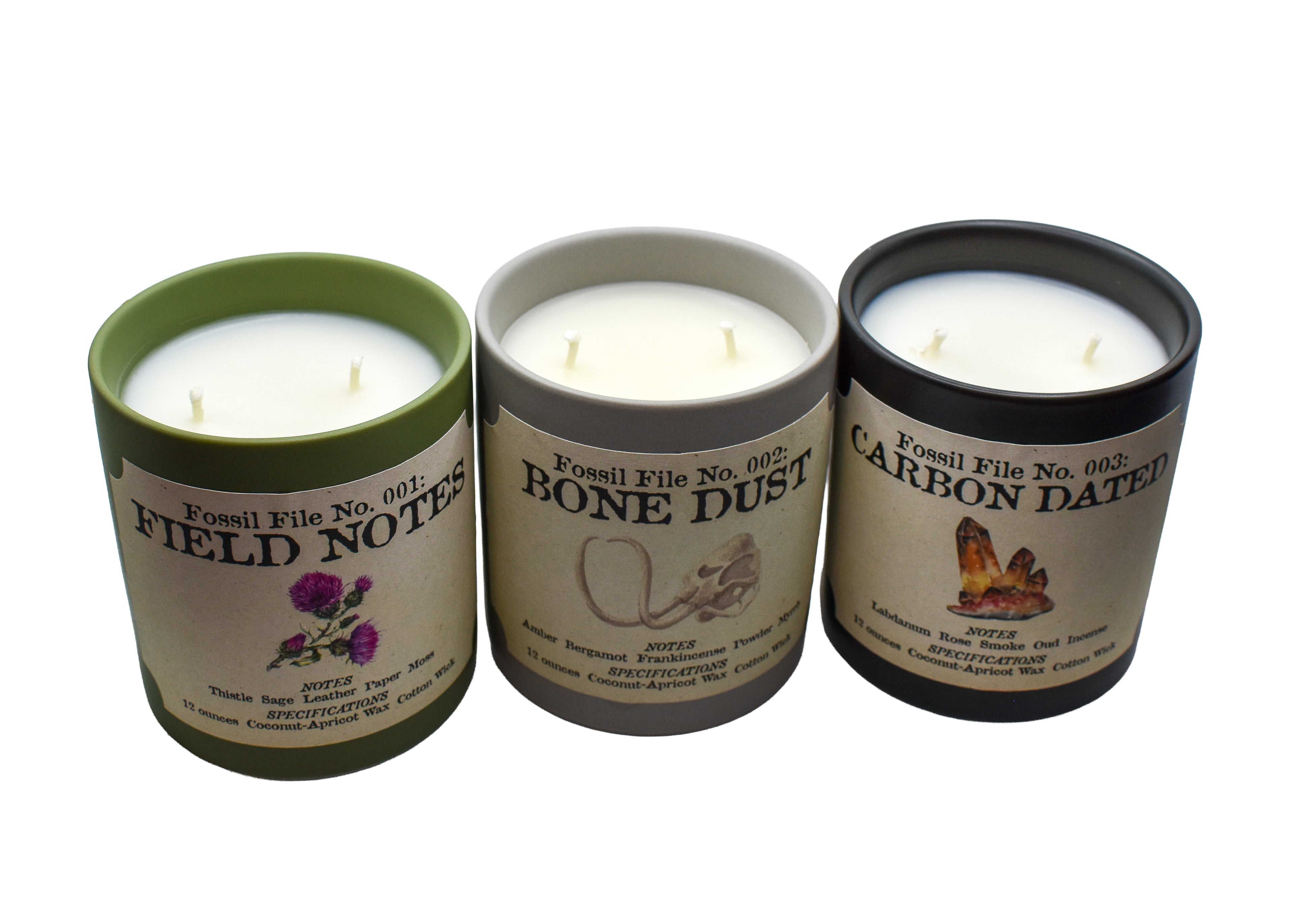 Fossil Files Candle Set