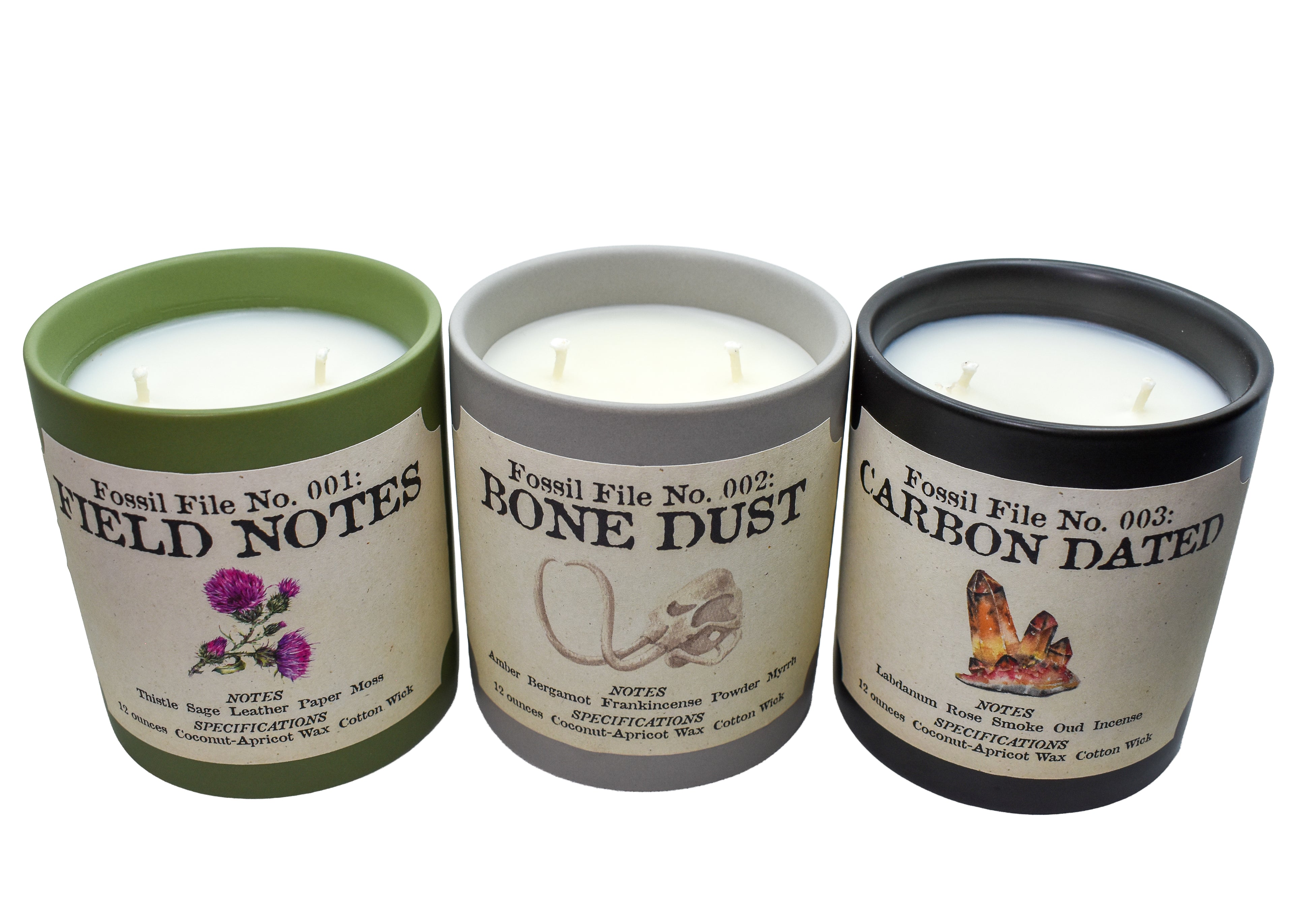 Fossil Files Candle Set
